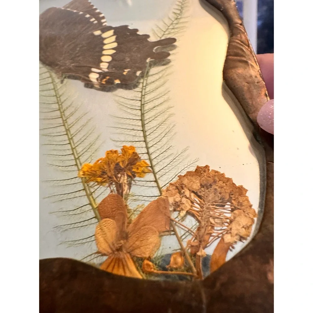 Vintage‎ Pressed Butterfly and Botanicals 5x5